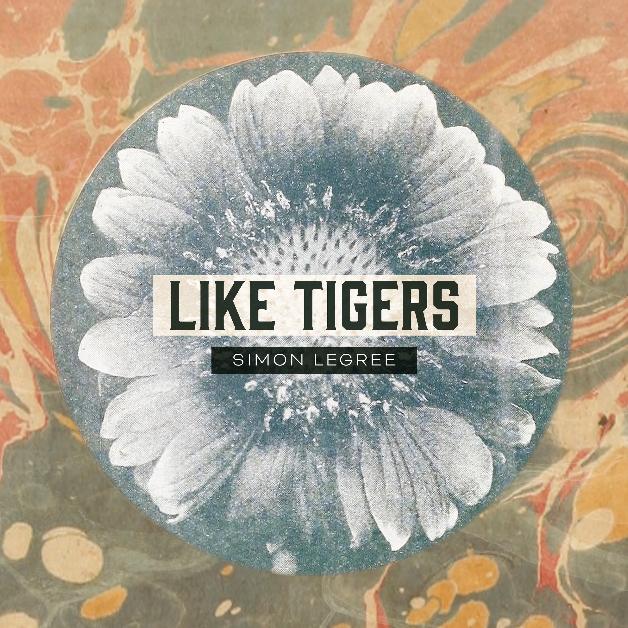 SPT-LikeTigers-Simon.jpg