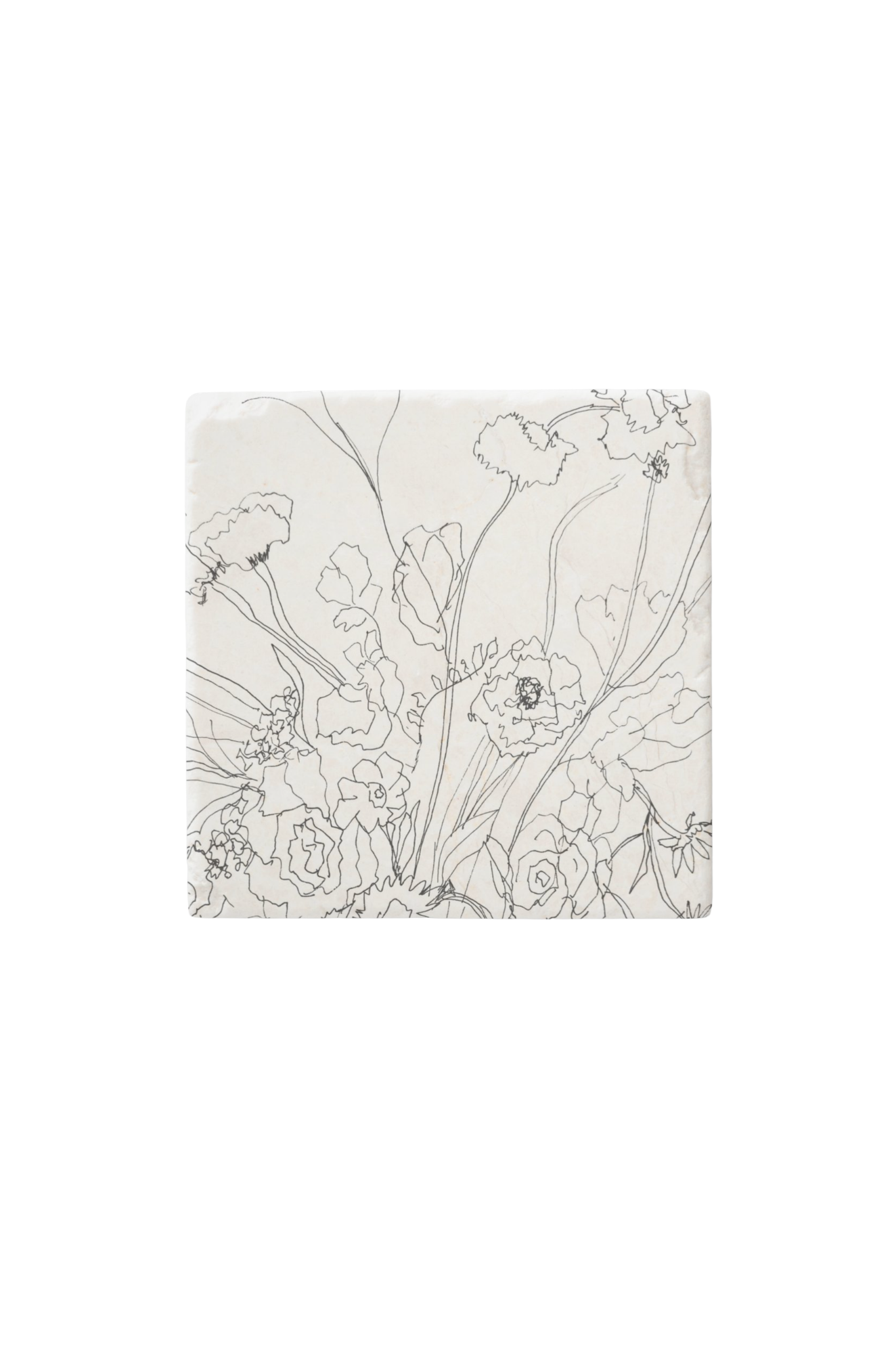 larger coaster on white.png