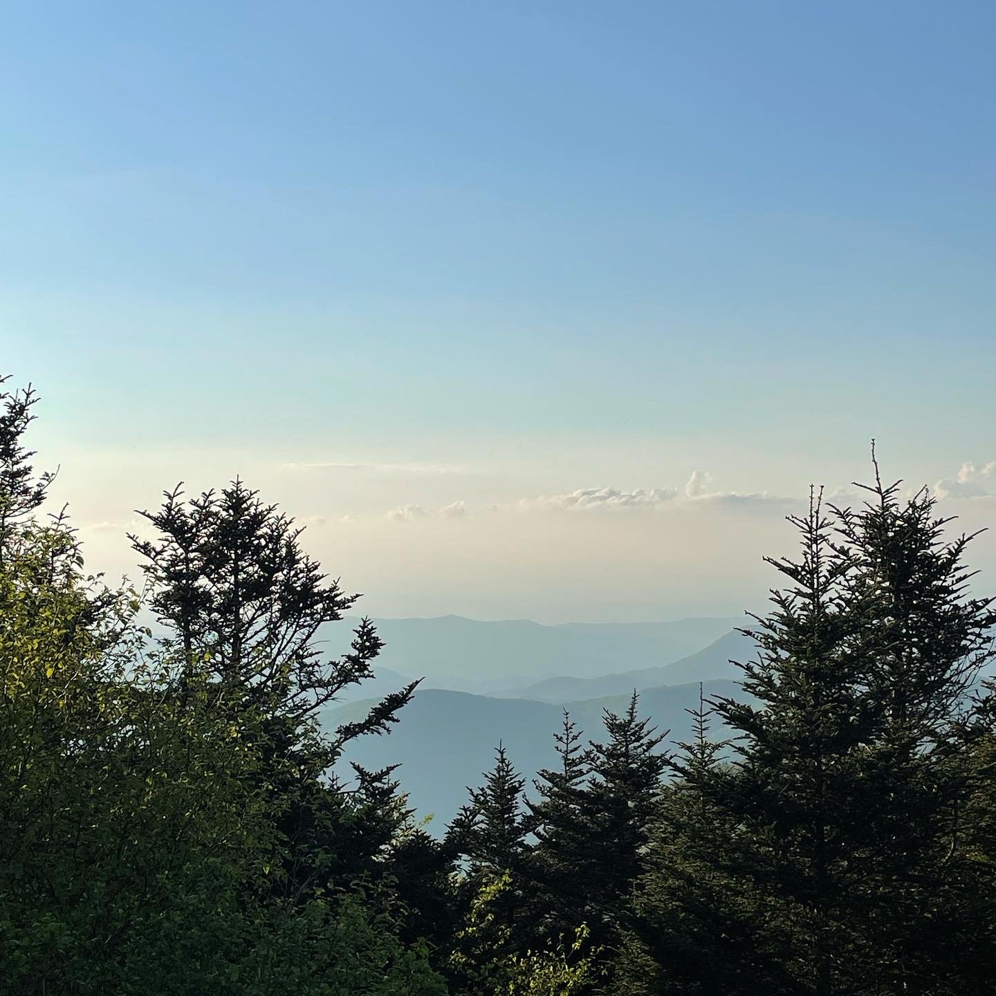 E8FA0B2C-4628-4E48-8BC2-01E373BA2609 2.JPG