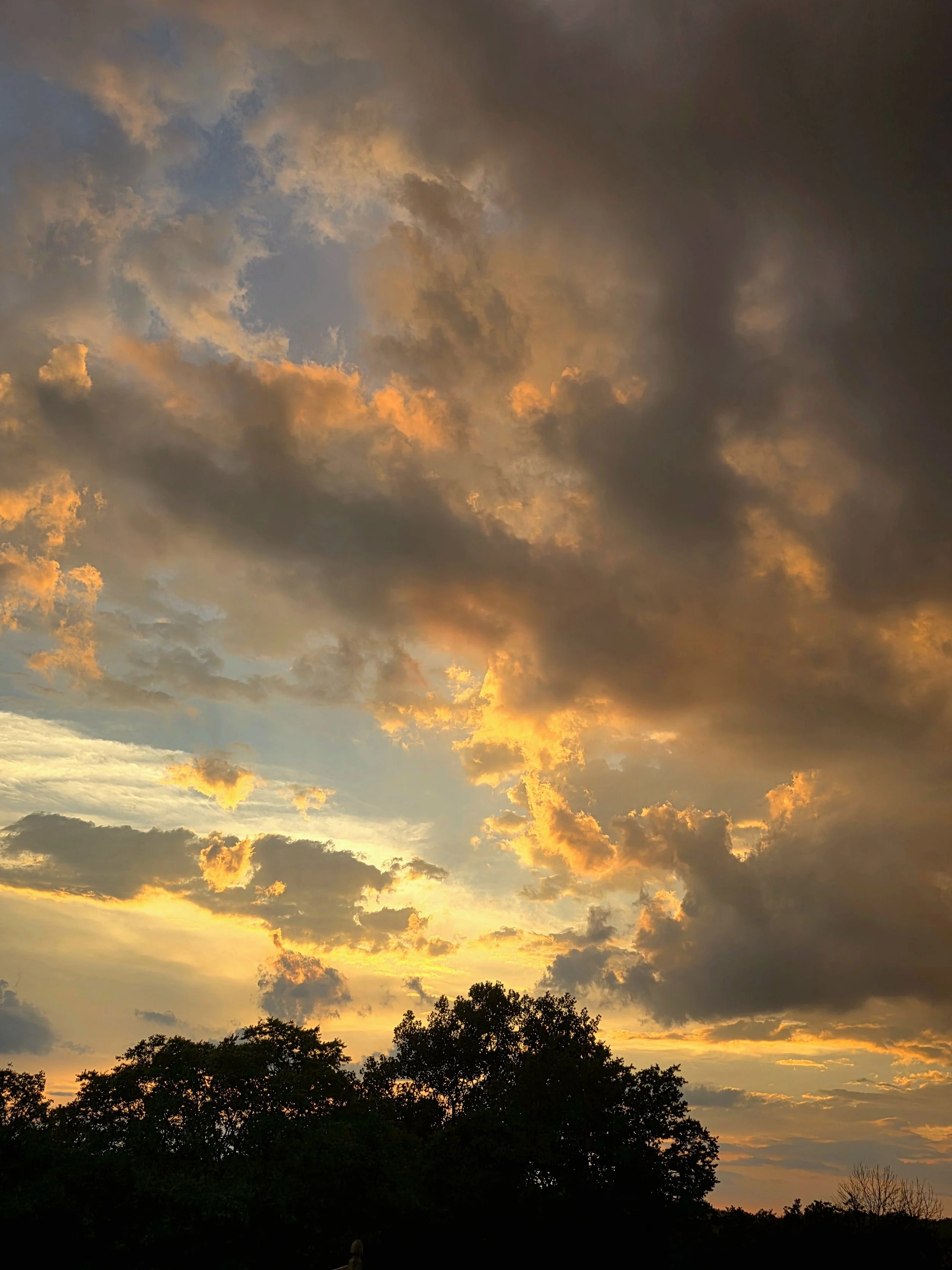 20250814_192433.jpg