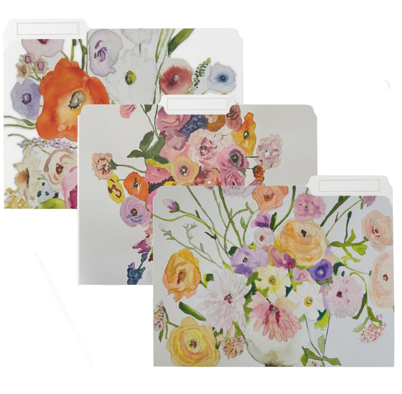 # Folders no back ground.png