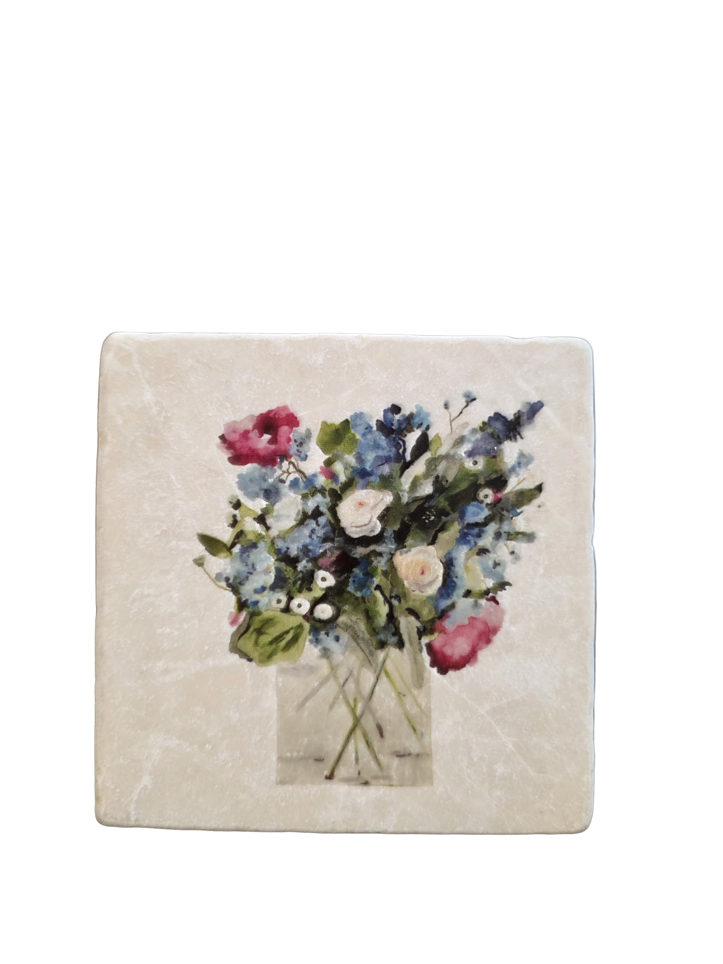 Savannah Coaster NB.png