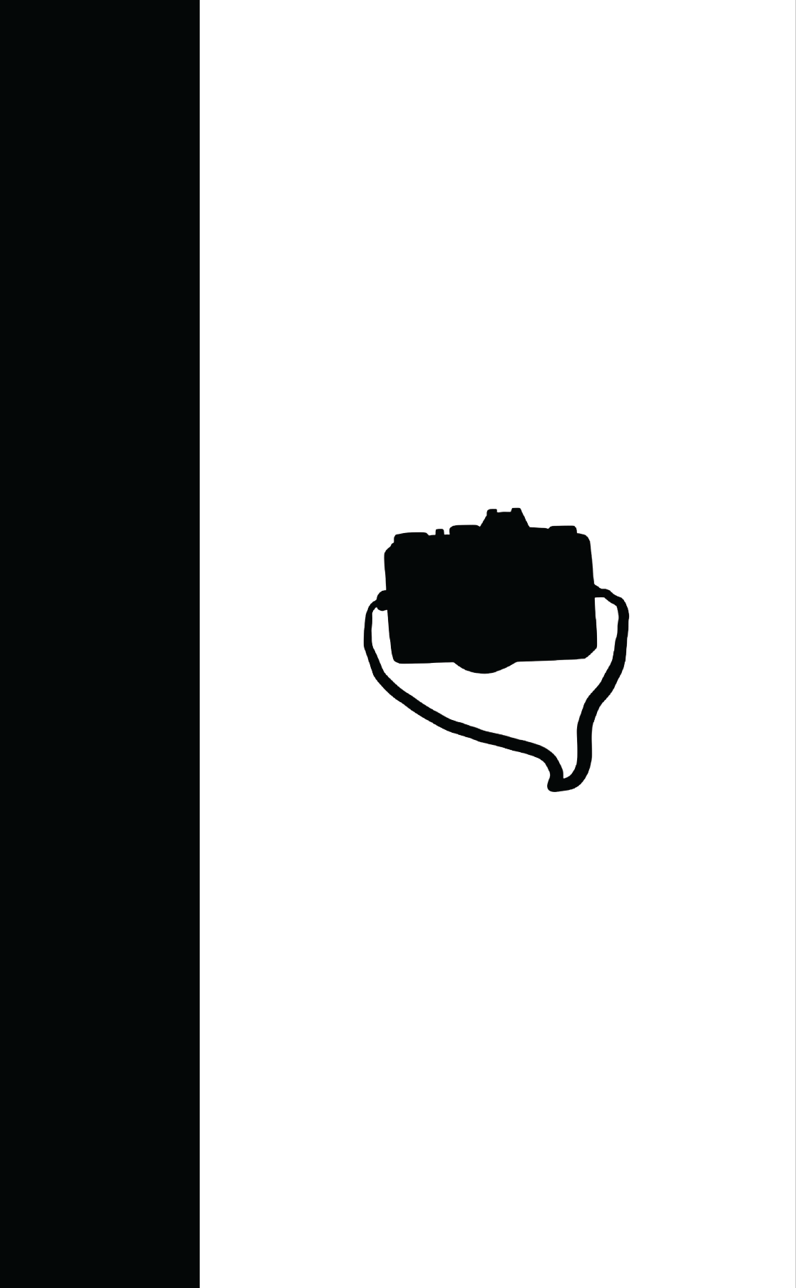 Cover idea.png