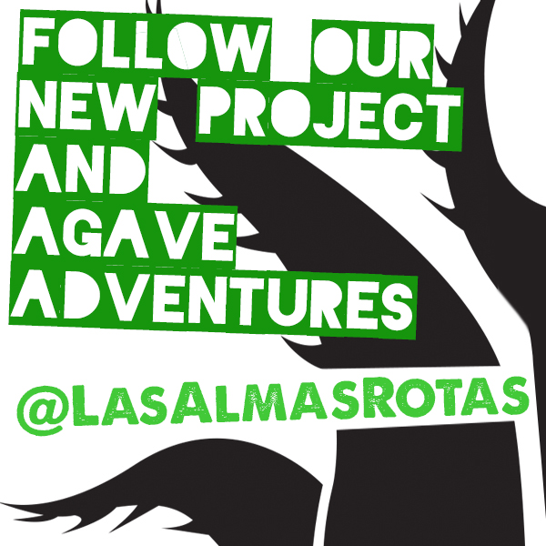 Instagram Promotional Campaign Graphic