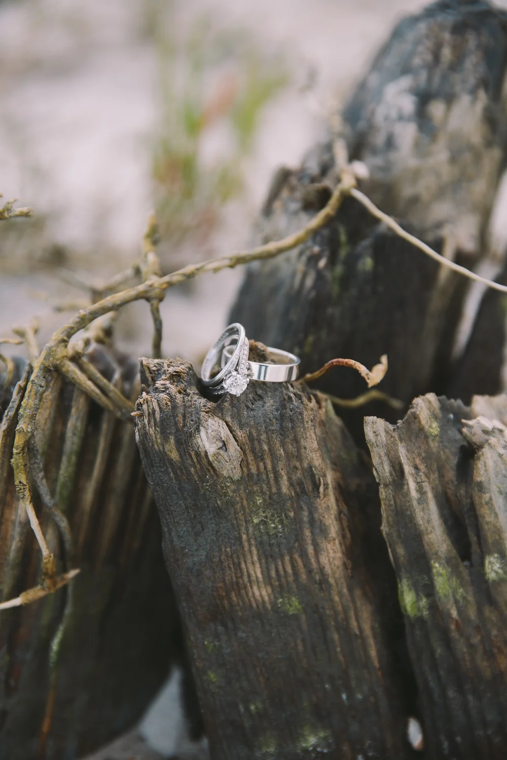 180315_Addie_Mikey_Wedding_JesseandLex_blog-176.jpg