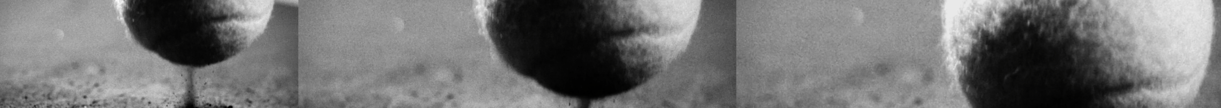 Screen Shot 2016-12-15 at 8.37.09 PM.png