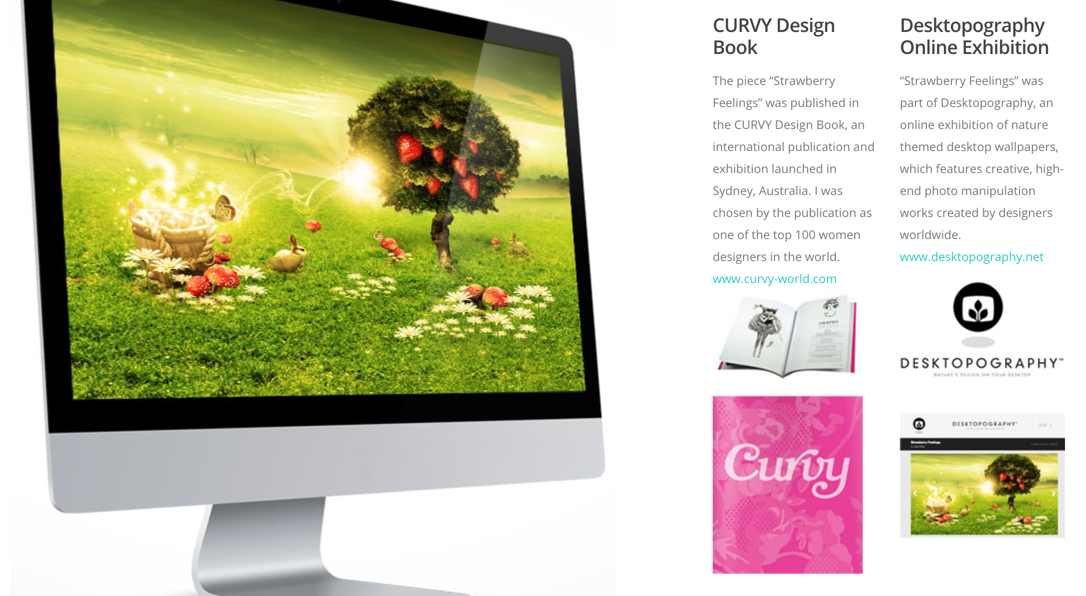 Curvy design Book Sydney, Australia. Feature work / Curvy is a Book which features the most exciting female artists around the world (2010)