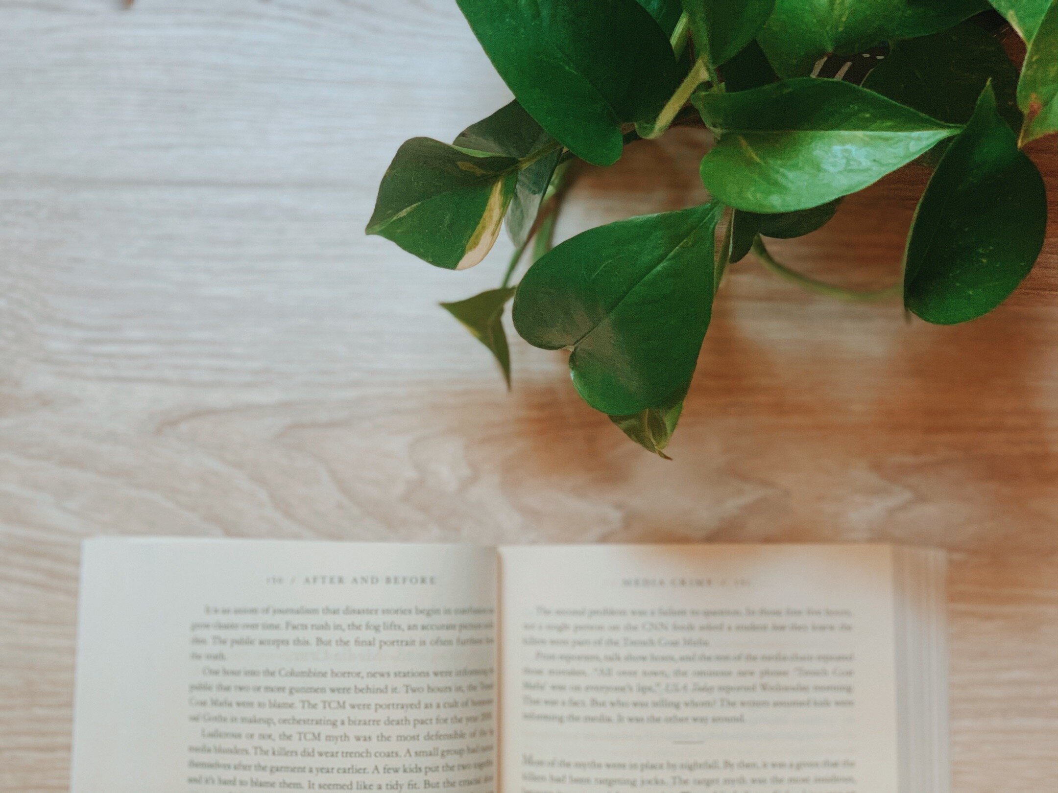 Picture shows an open book against light wooden background. A dark green pathos plant stretches into the frame.