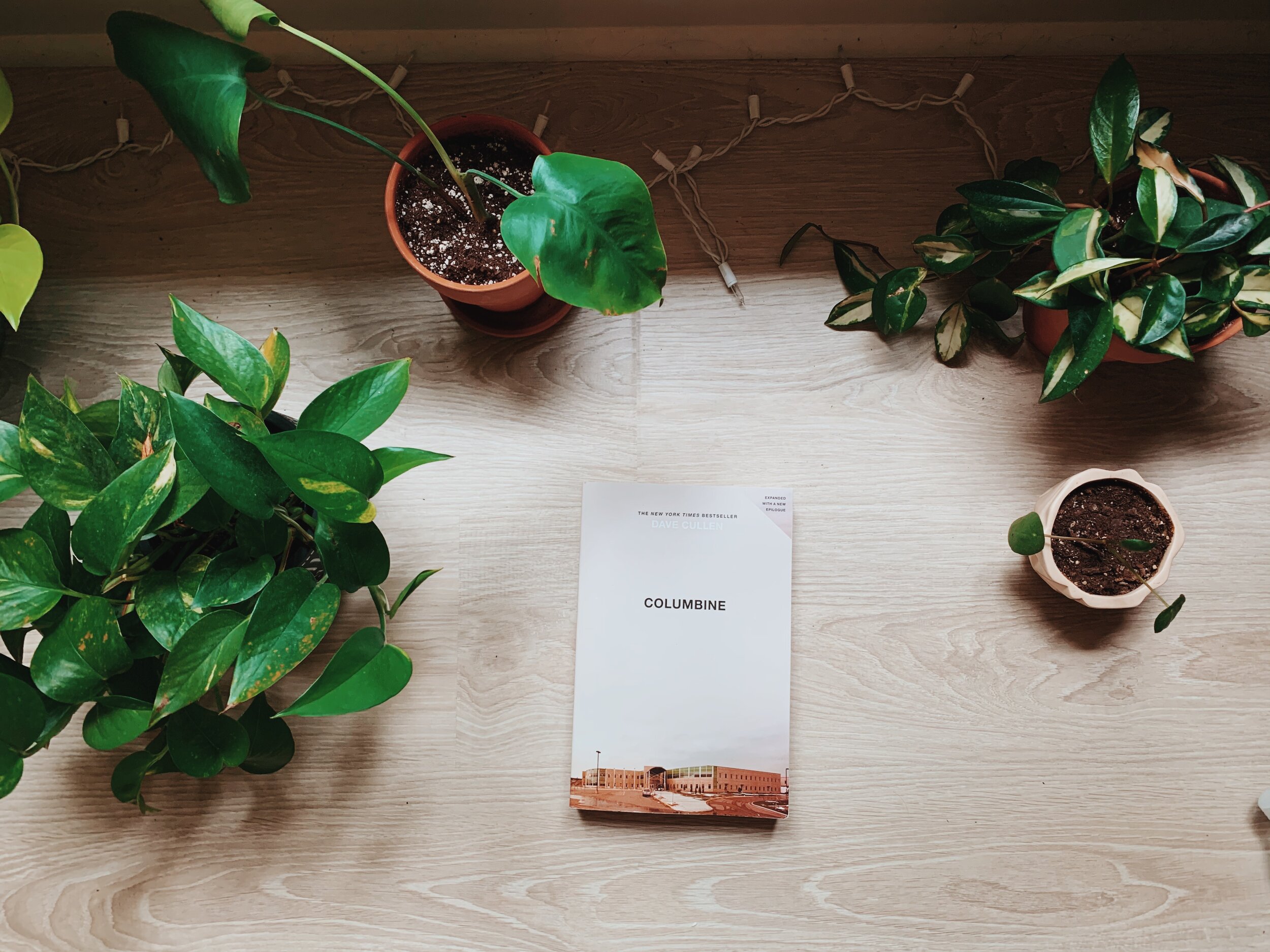 This picture is of the book Columbine by Dave Cullen. The book is shown against a light wooden background and is surrounded by potted plants. A strand of twinkling lights appears along the border of the image.