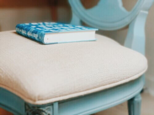 Example of remainder marks. The book Fates and Furies by Lauren Groff sits on a light blue antique chair with a cream seat. It has a red dot, or “remainder mark” on the bottom of its pages.