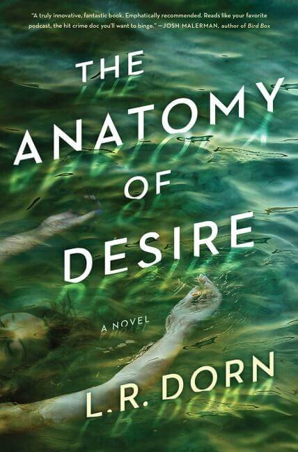 The Anatomy of Desire by L.R. Dorn