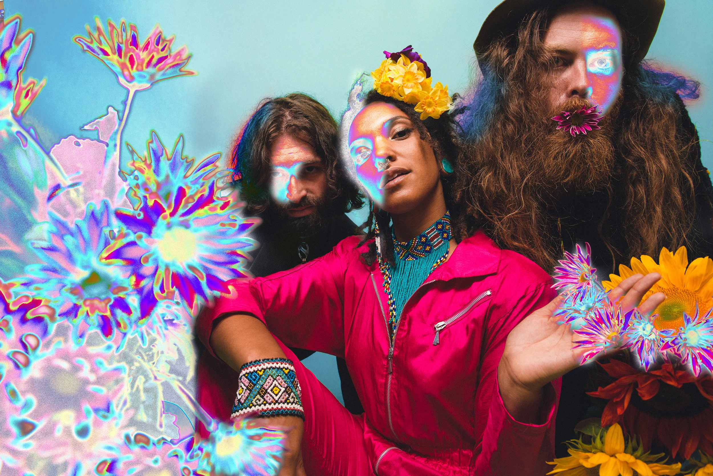 Tripping Daisies.jpg