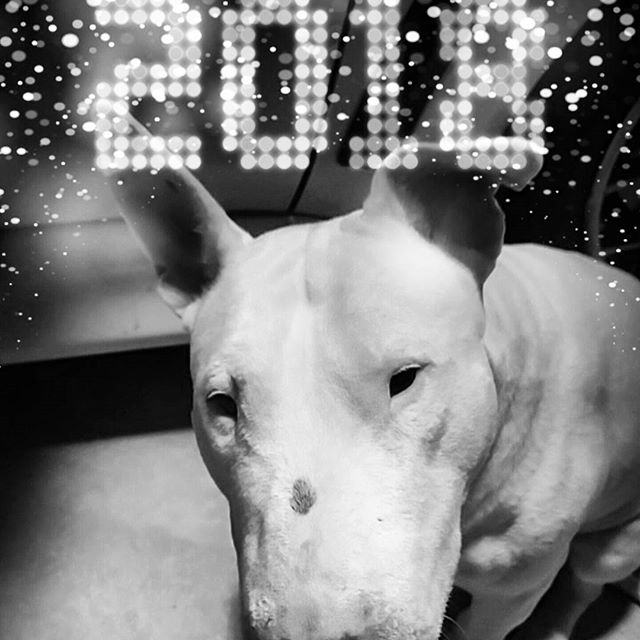 We want to wish everyone a new year that brings new successes, new hopes, and new joys.  Also, a special thanks to our customers and followers for the continued support.  Happy 2018!