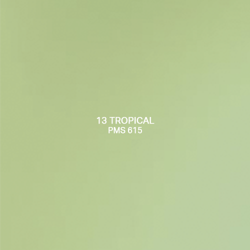 13-Tropical.png