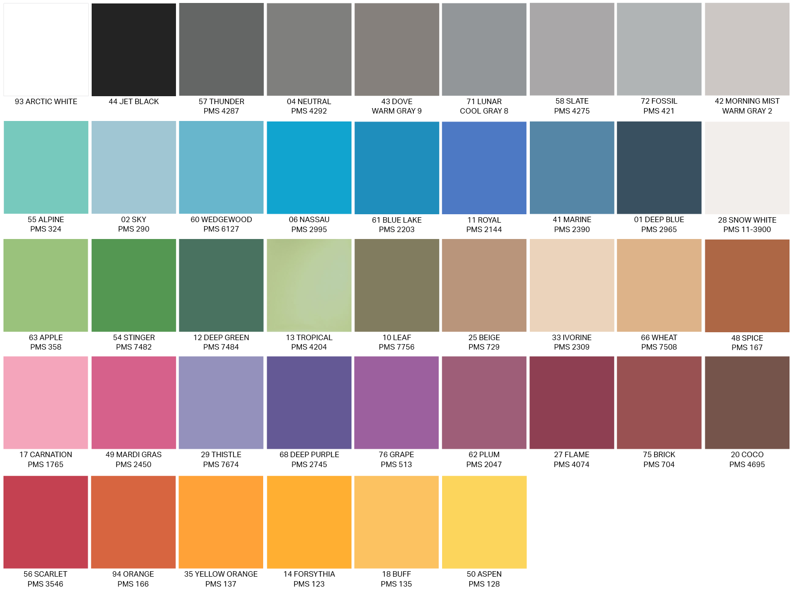 BACKDROP PAPER