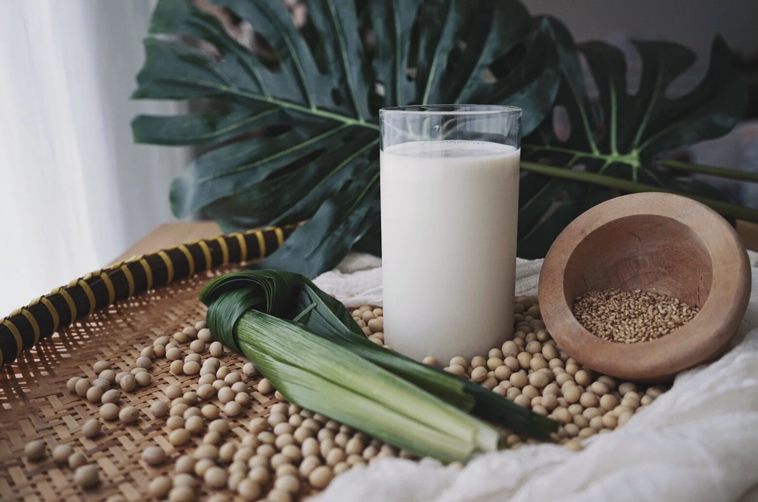 Soy Milk | Sữa Đậu Nành
