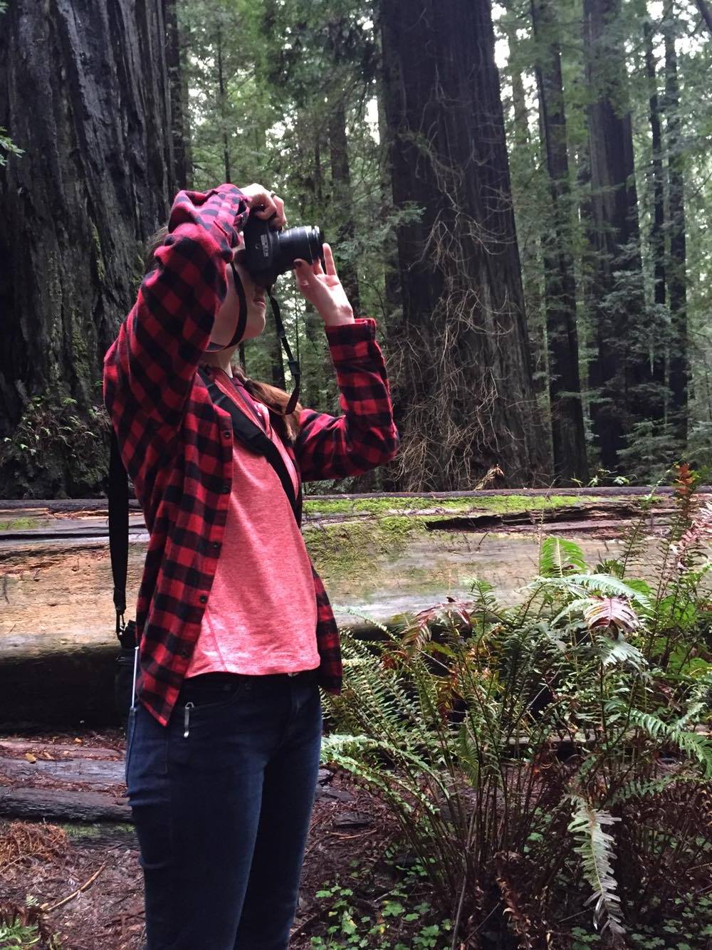 Claire at humboldt redwoods state park, in the founder's grove
