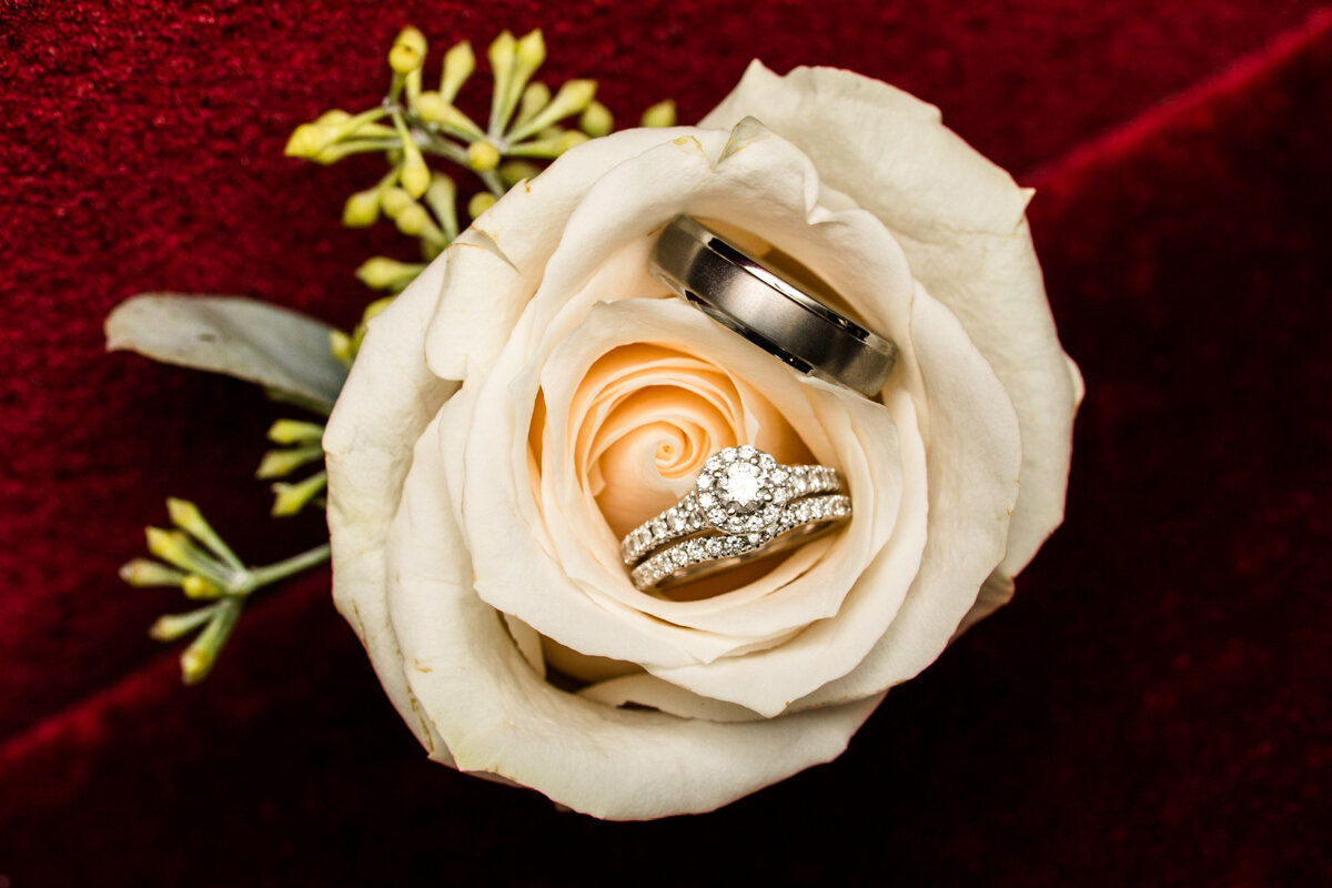 Wedding Rings-Bride-Groom-Denver-Tucson-Wedding-Engagement-Elopement-Details-Colorado-Arizona1.jpg