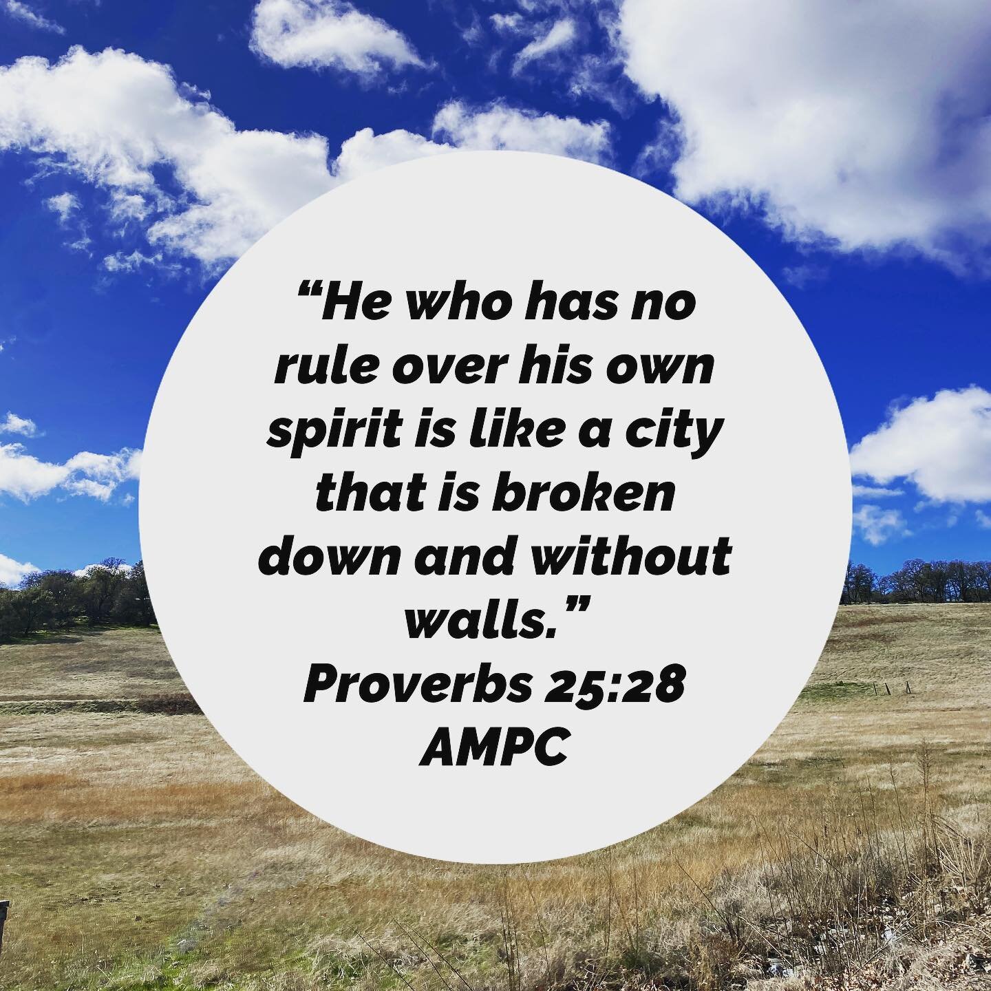 Do you feel bombarded or overthrown? 

When I read this verse the other day I was so encouraged. I am the ruler of my spirit. God has empowered me to protect my spirit. I get to determine what gets in and what doesn&rsquo;t. 

The assault on our spir