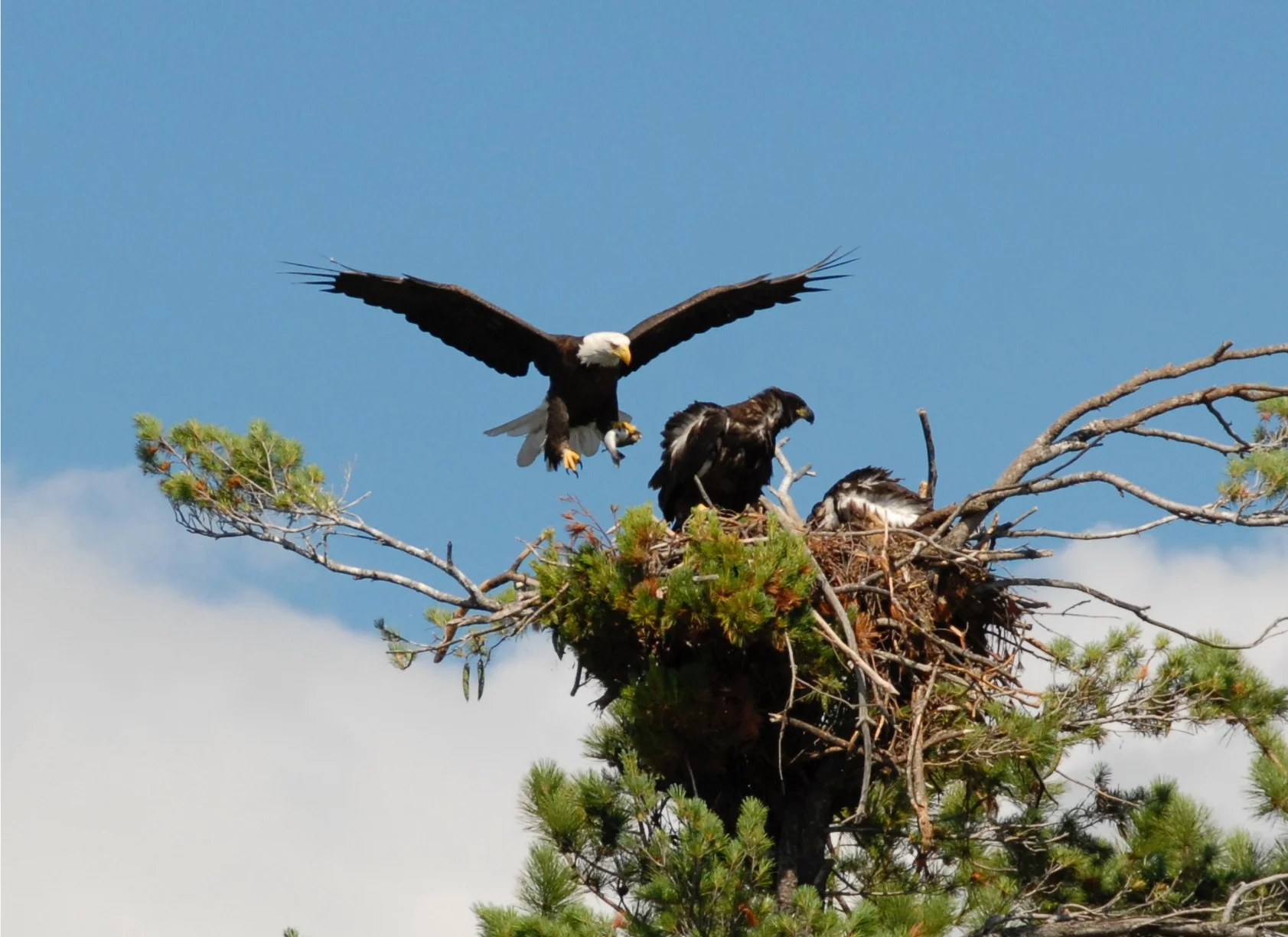 DSC_0160.jpg