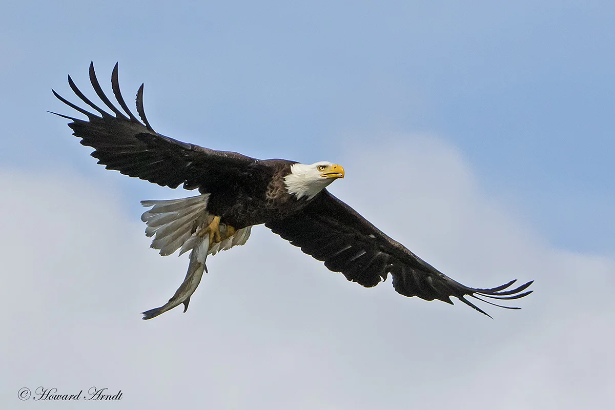 _J3A8958_8x12©s.jpg