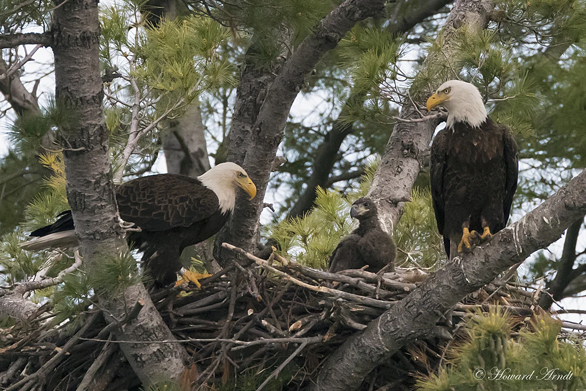 _73I4718_8x12©s.jpg