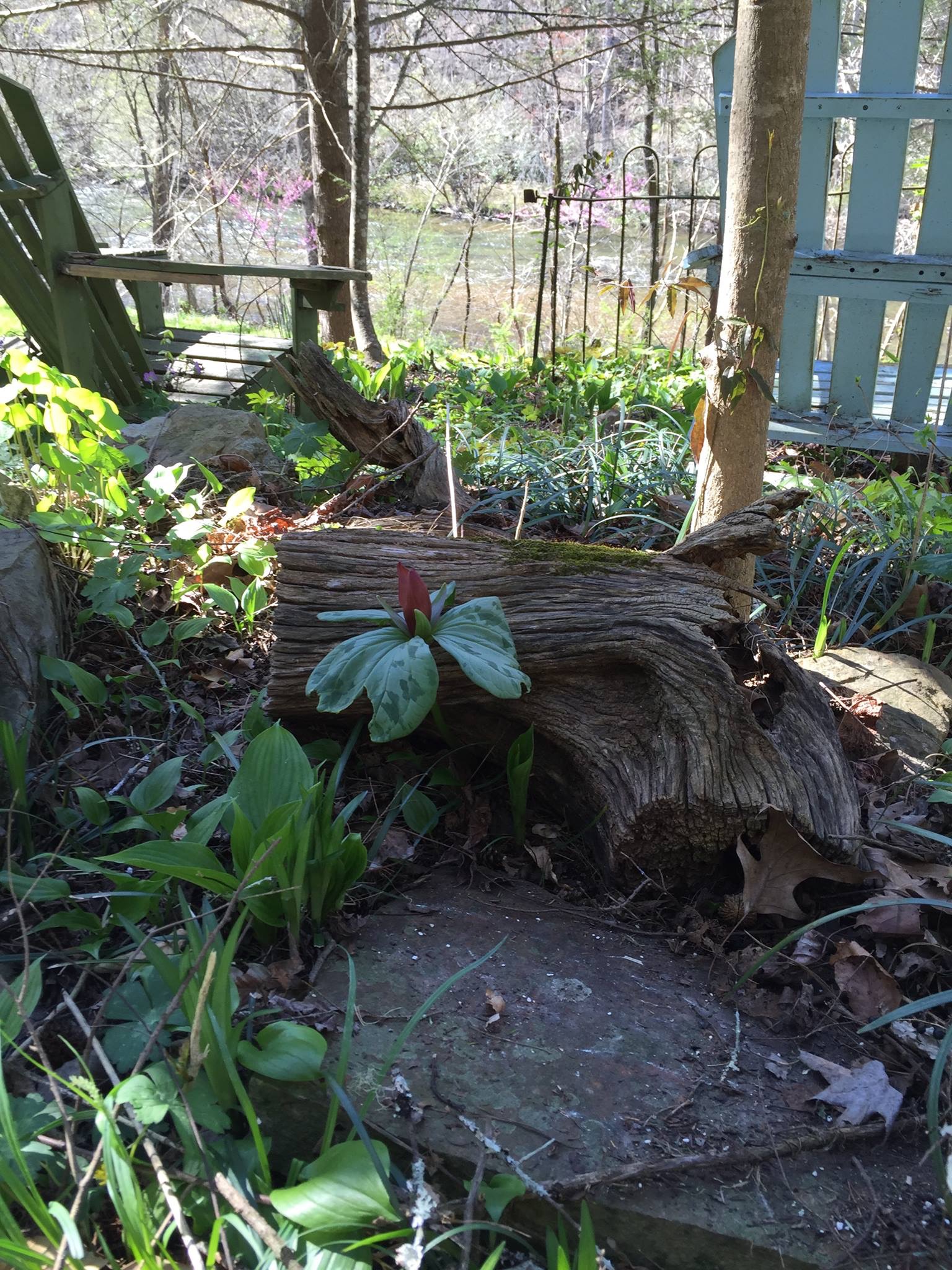 Mindfulness 101: A Meditation Workshop - Knoxville, TN