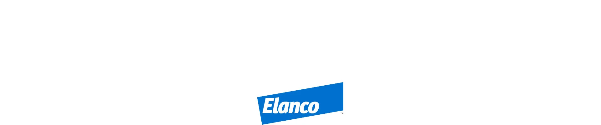 Elanco, a division of Eli Lilly & Company, is one of the largest animal health companies in the world. They came to Callahan Creek to develop a campaign for their product, Trifexis, that would communicate their shared love for dogs and protecting them year ‘round.