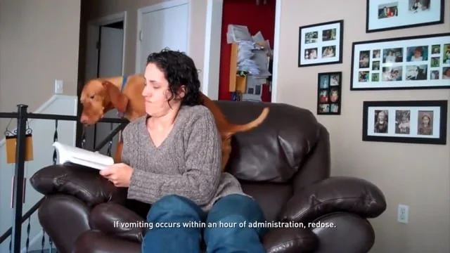 Trifexis: "Wouldn't Trade It For The World" :60 Broadcast Spot