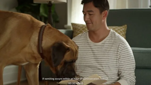 Trifexis: "Personal Space" Dog Parent Story