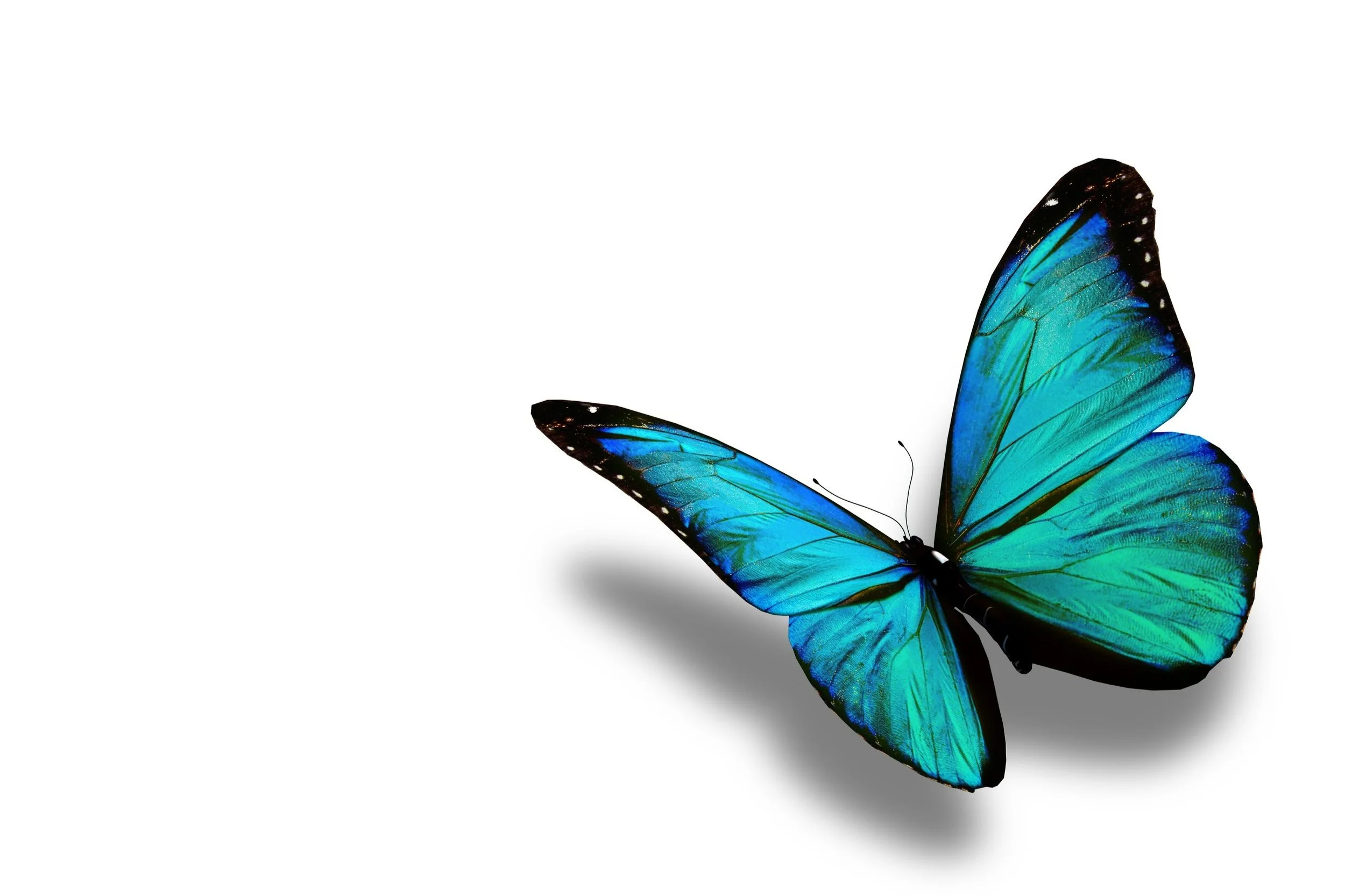 Becoming: It's ok to change