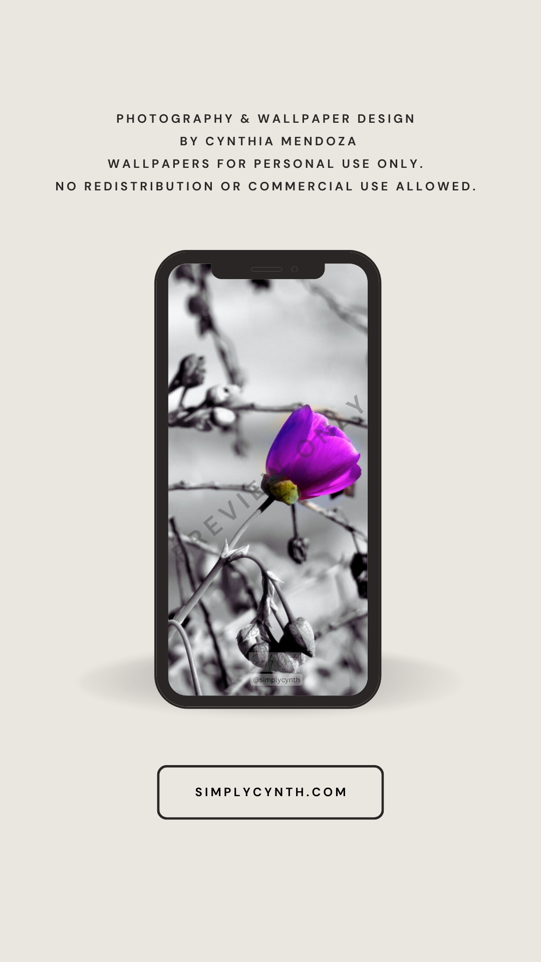 iPhone wallpaper - single flower