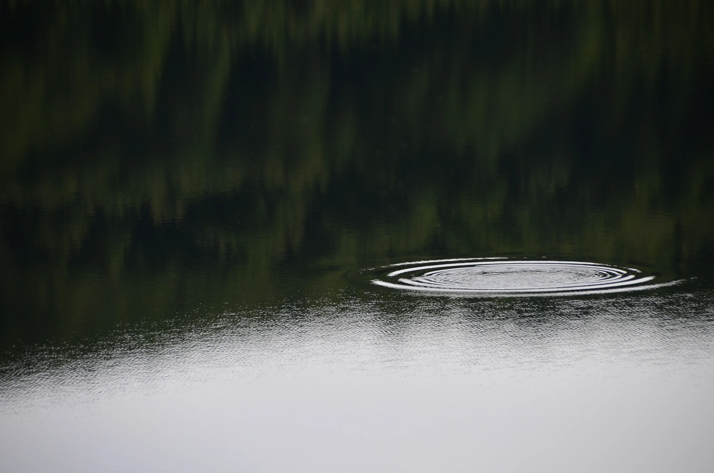 _DSC0006.JPG