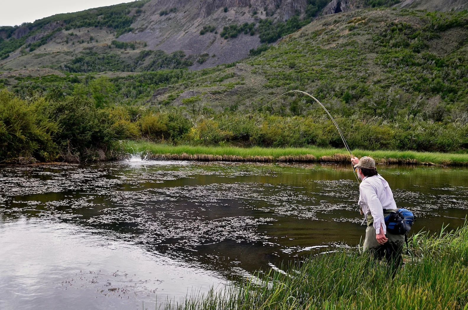 DSC_0310 - Version 2.JPG