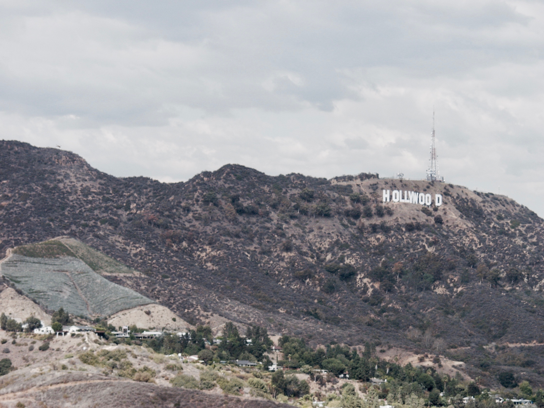 Los Angeles - 2.jpg