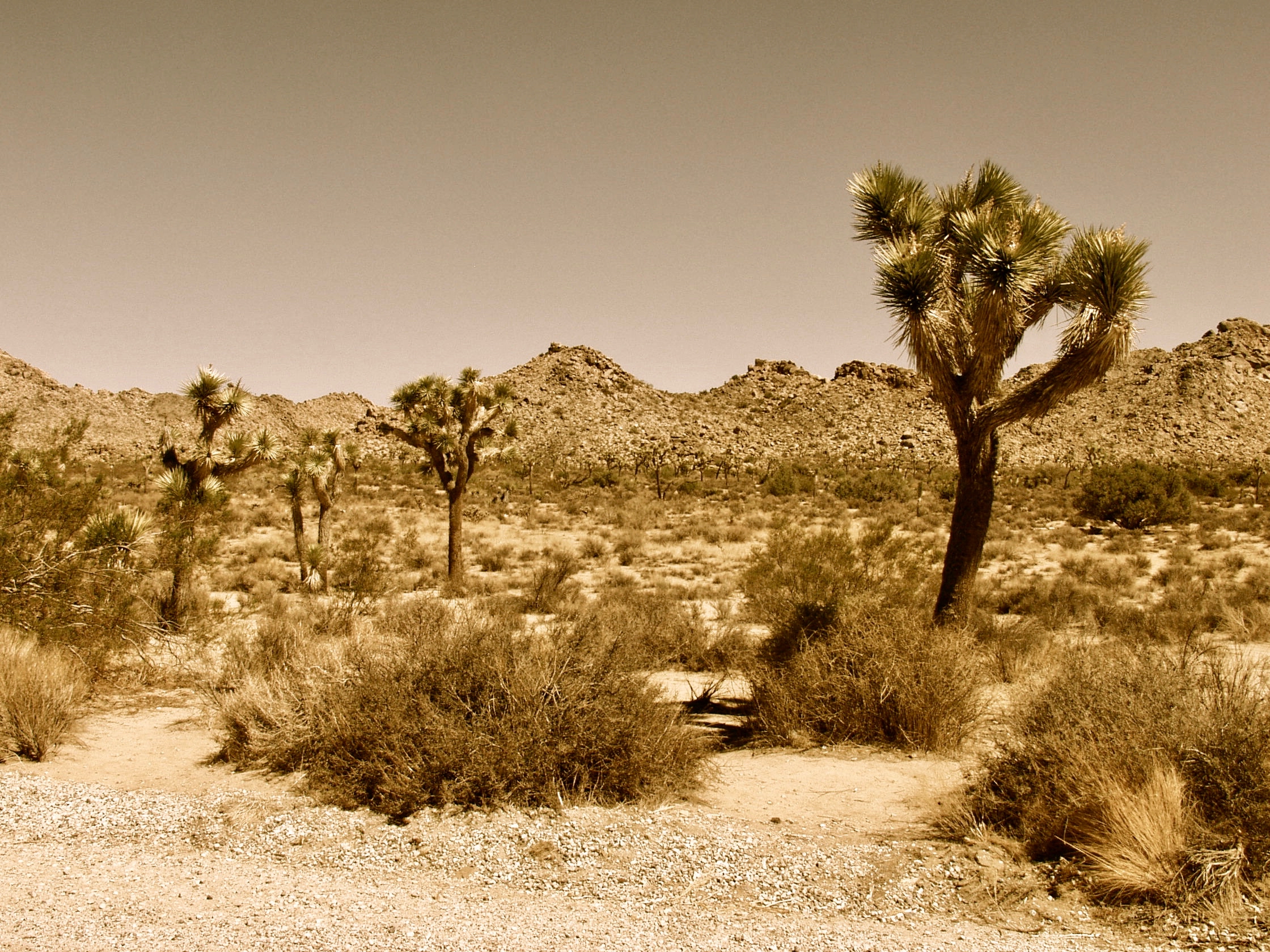 Los Angeles - 45.jpg