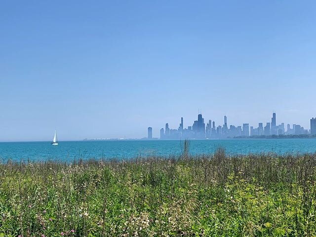 Yesterday&rsquo;s bike ride view from Montrose Point nature preserve #chicagoskyline #lakemichigan #montrosepointbirdsanctuary #sailboat #chicagolakefront #summer #latergram