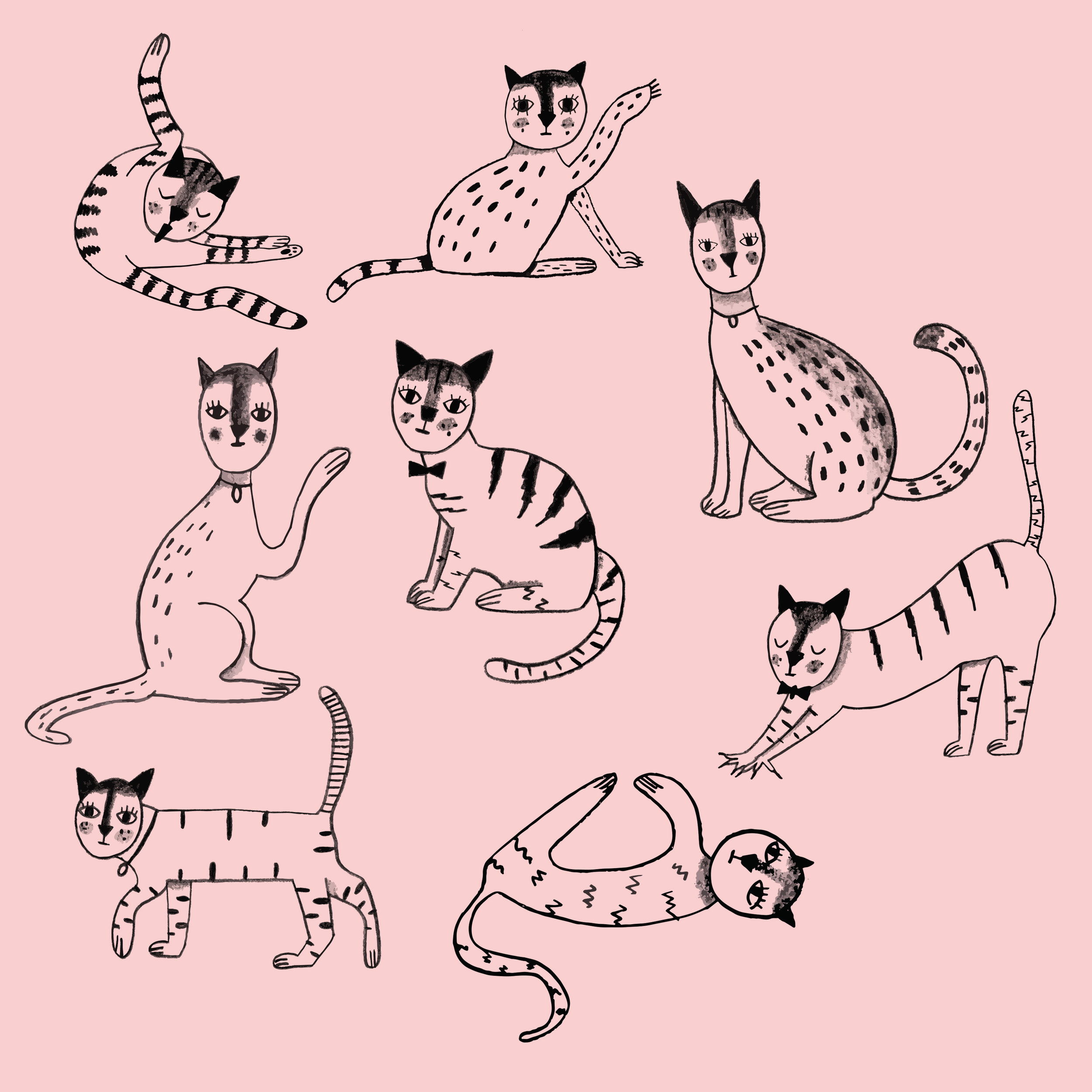 Cats