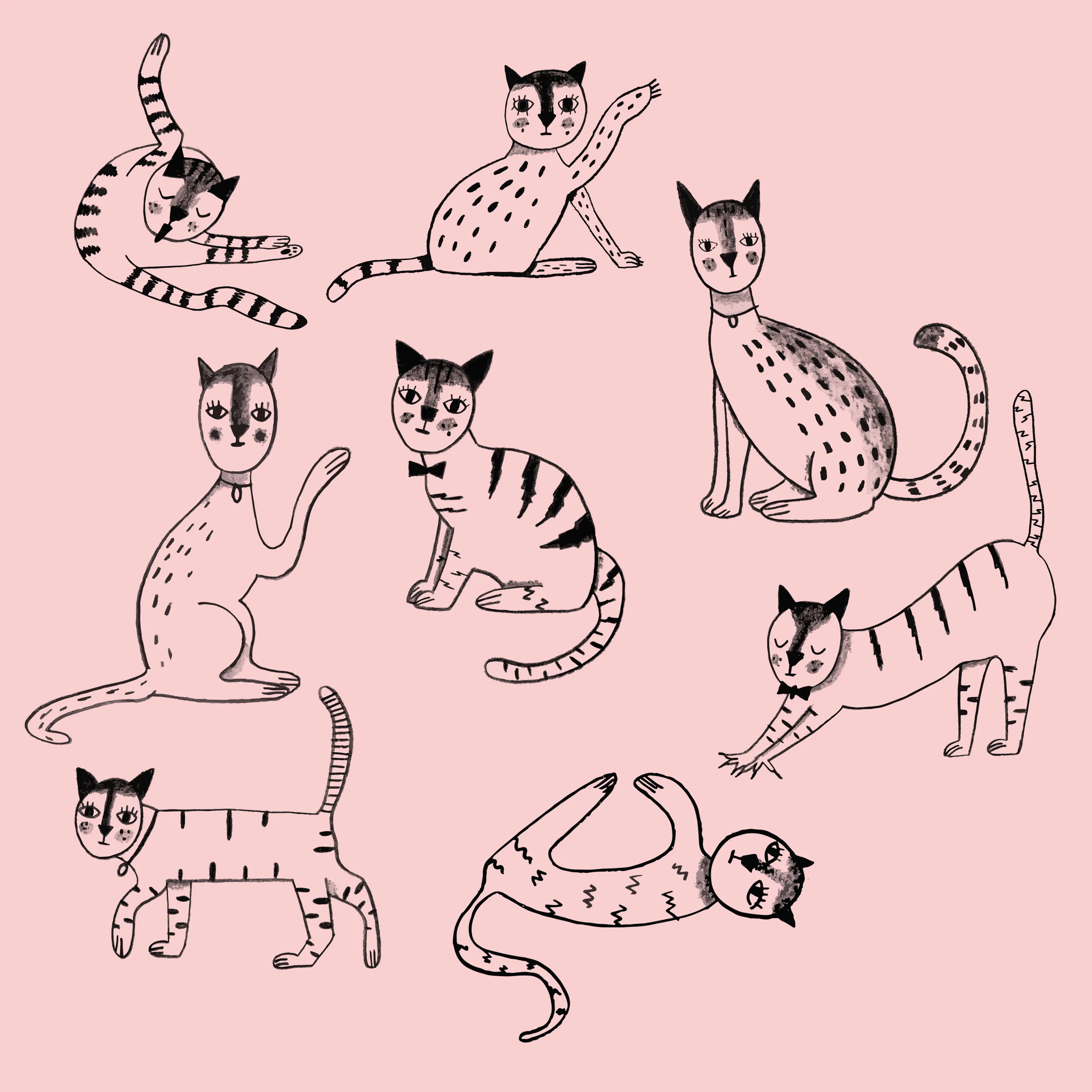 SHOUTCATS.jpg