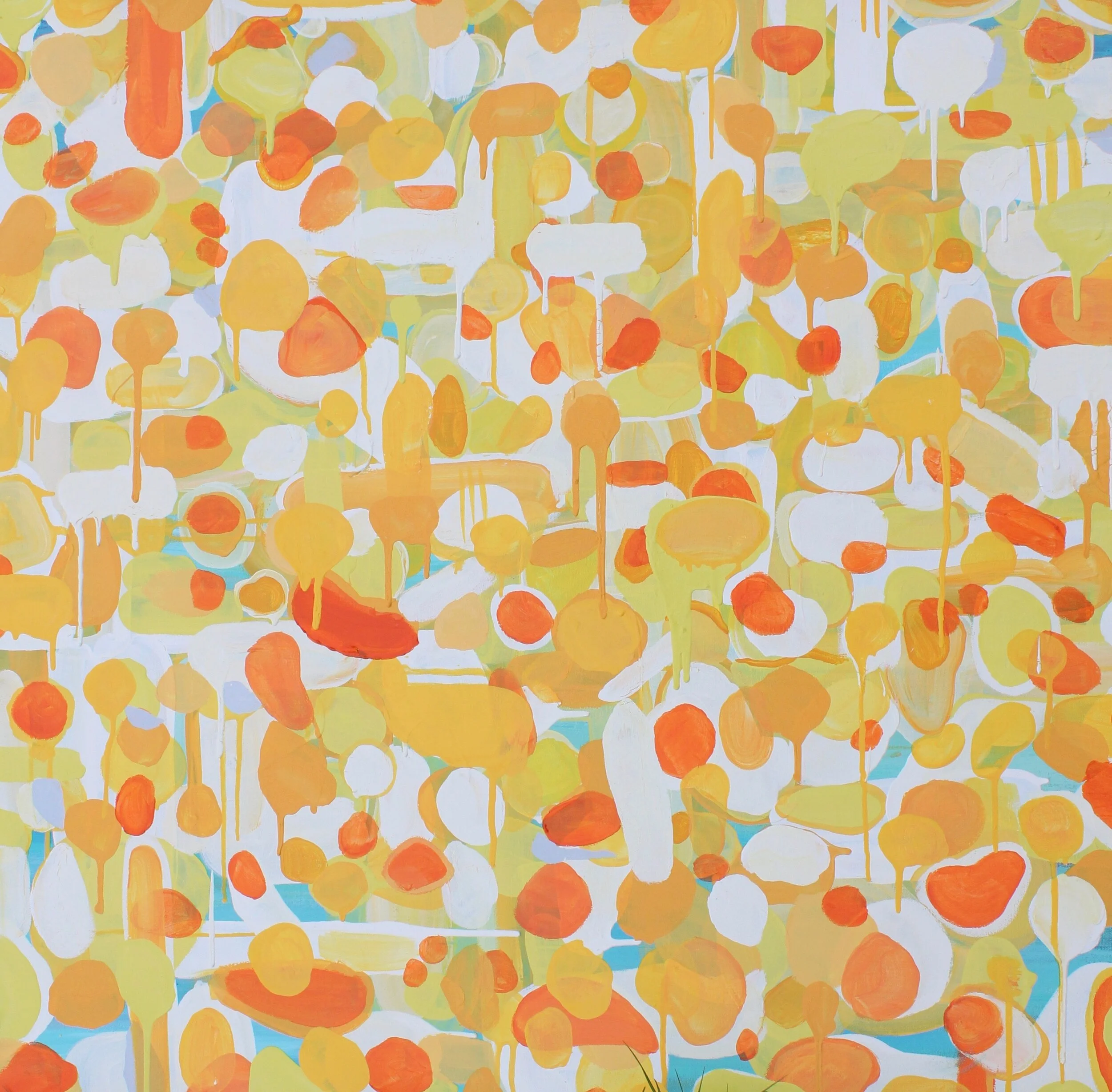 Shag 36x36 Acrylic on Canvas