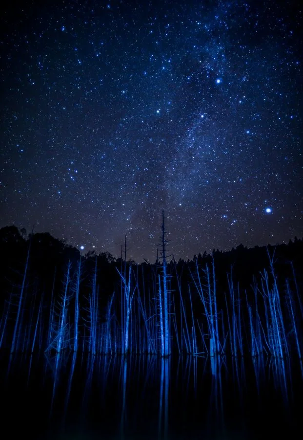 Night stars! Invisible forces guide us.