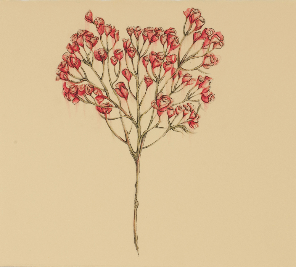 Plant 6_Edit.jpg