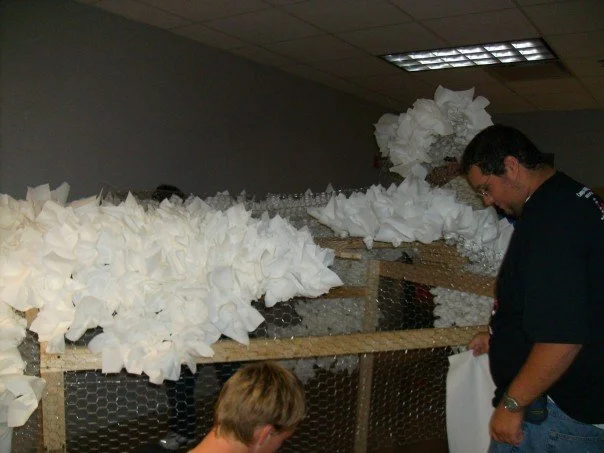 Sheep Build 1.jpg