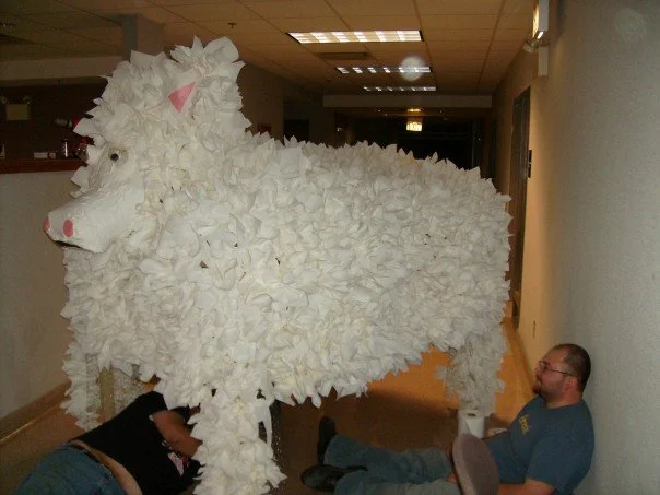 Sheep Build 2.jpg