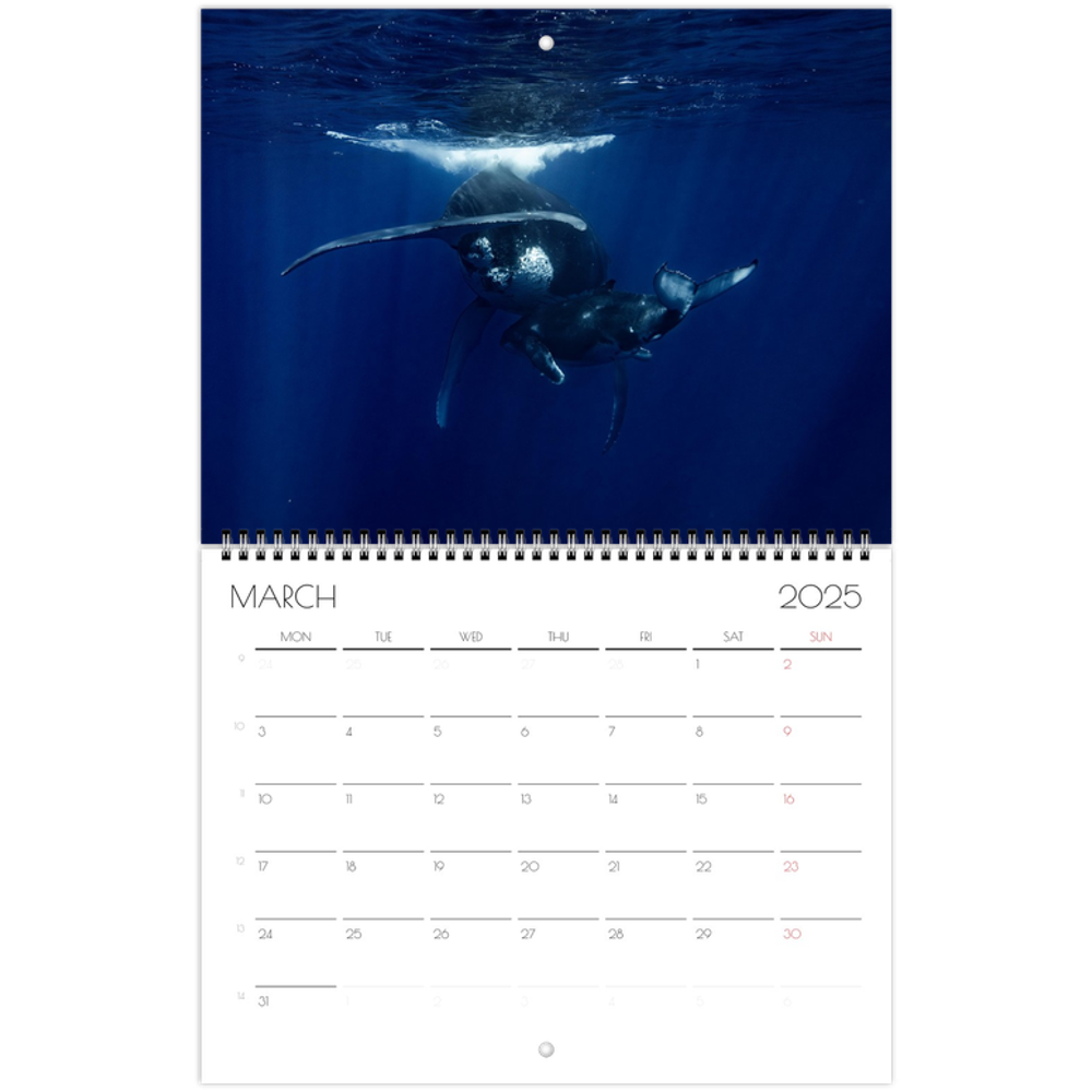 tmp-384-C9f9kZ3UdUHd