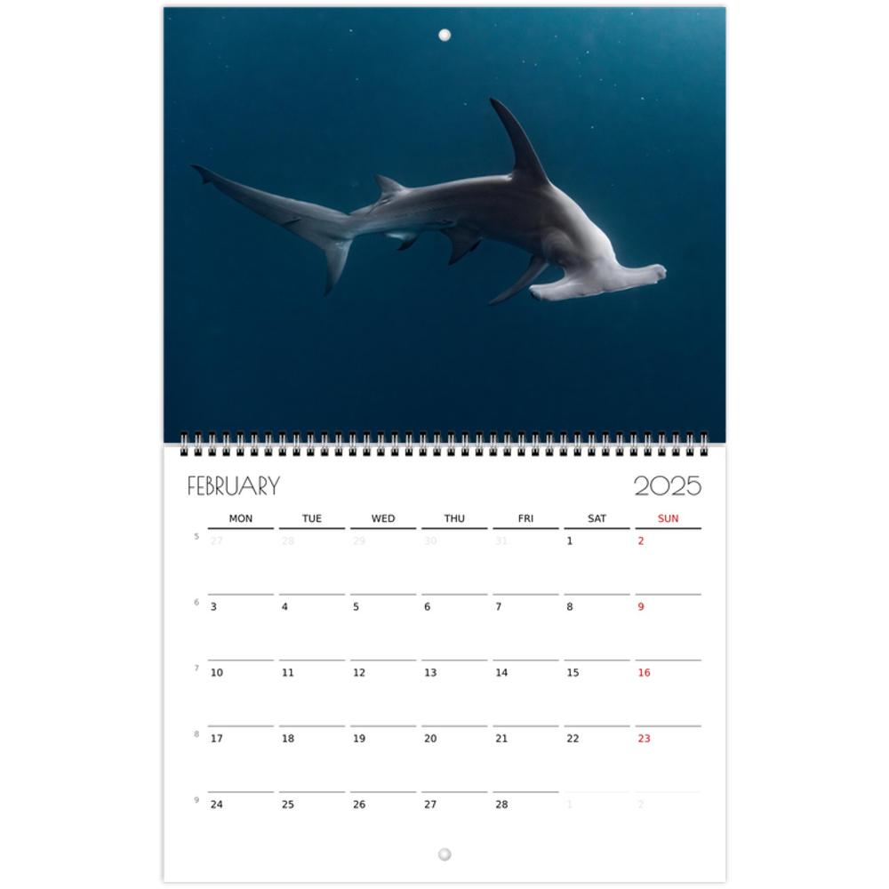 tmp-384-HlFpA0soB0Yf