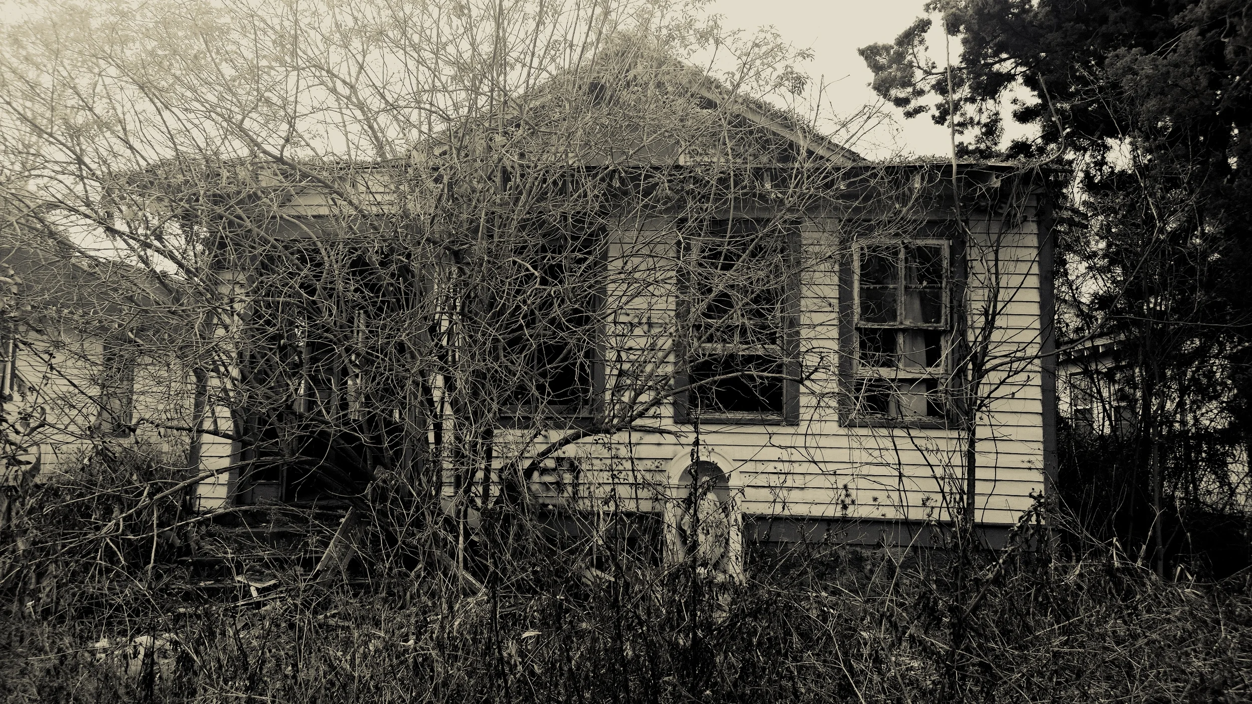 Farrell_Mia_%22Haunted House, New Orleans%22.jpg