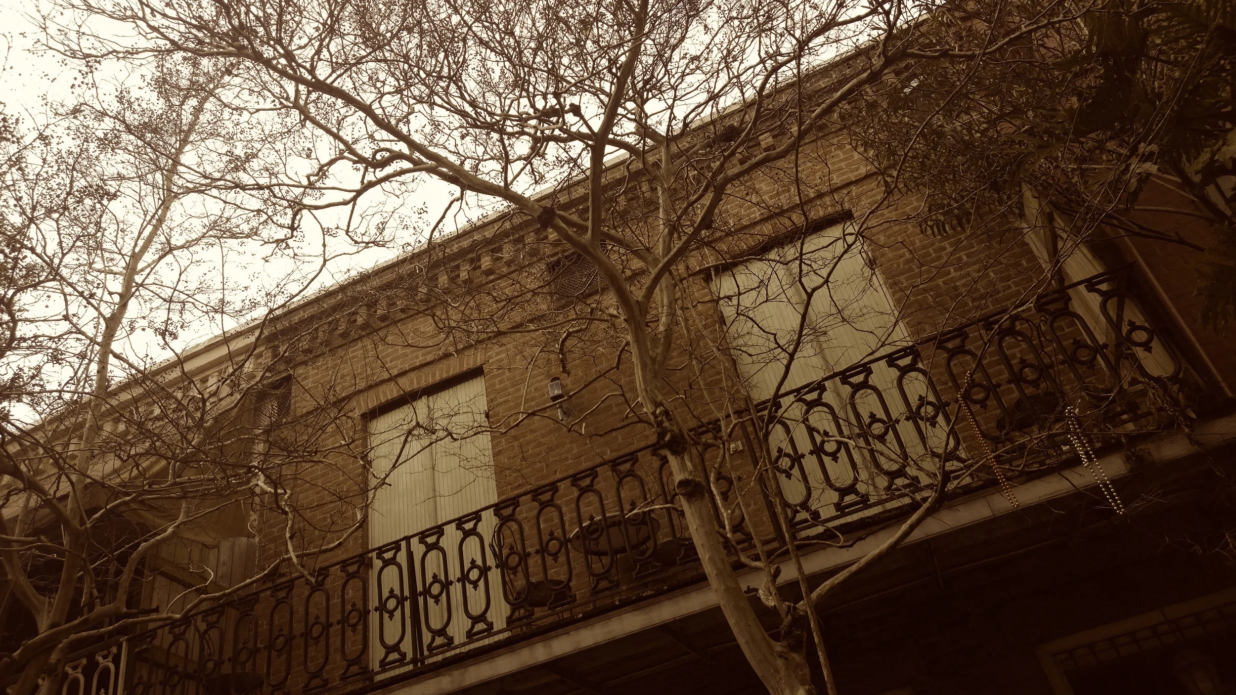 WP_20150222_18_54_51_Pro.jpg