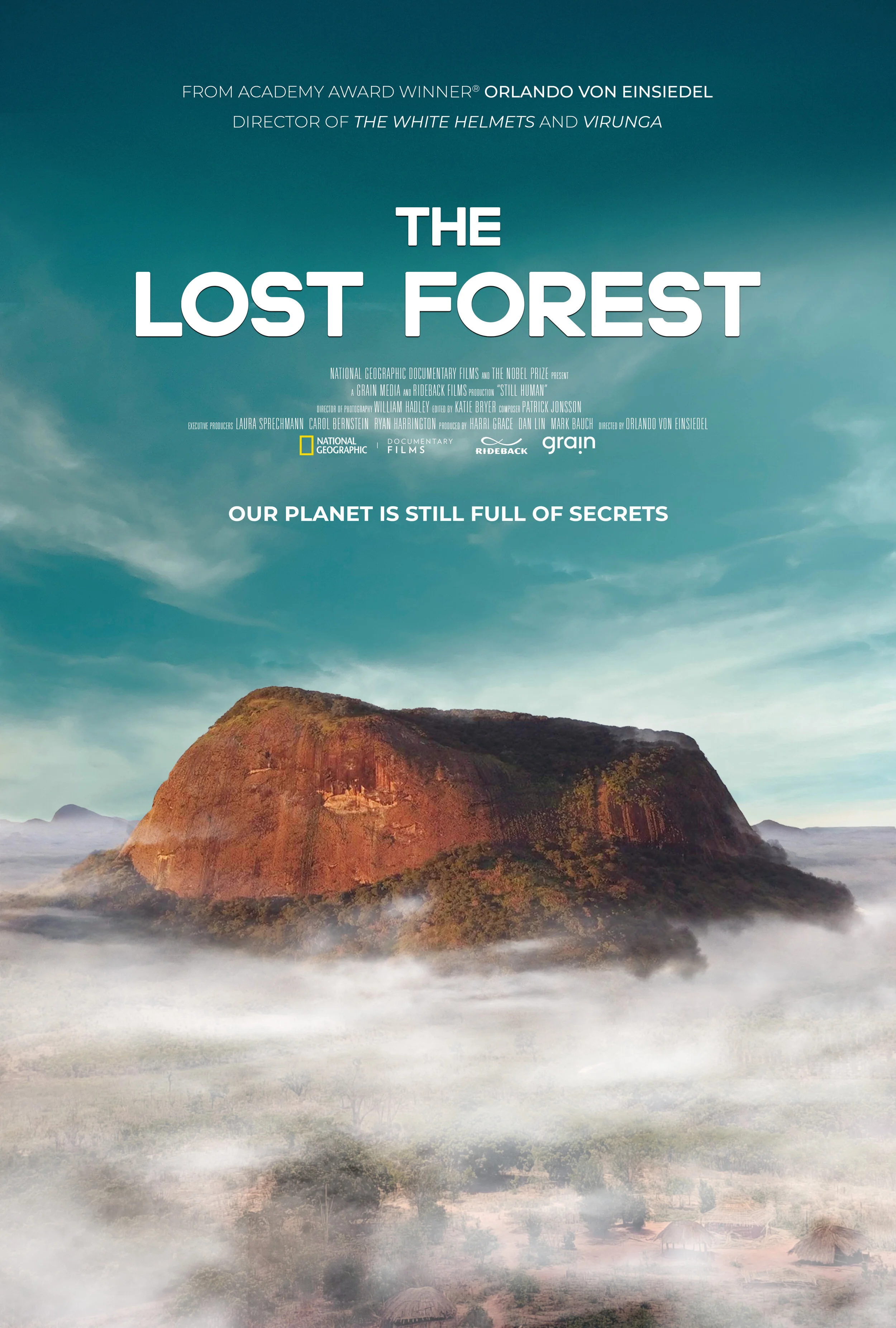 the lost forest.jpg