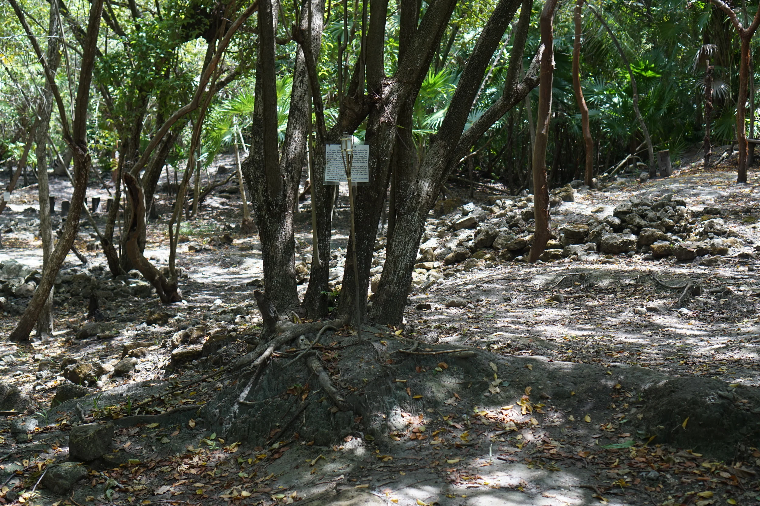 DSC05806.JPG
